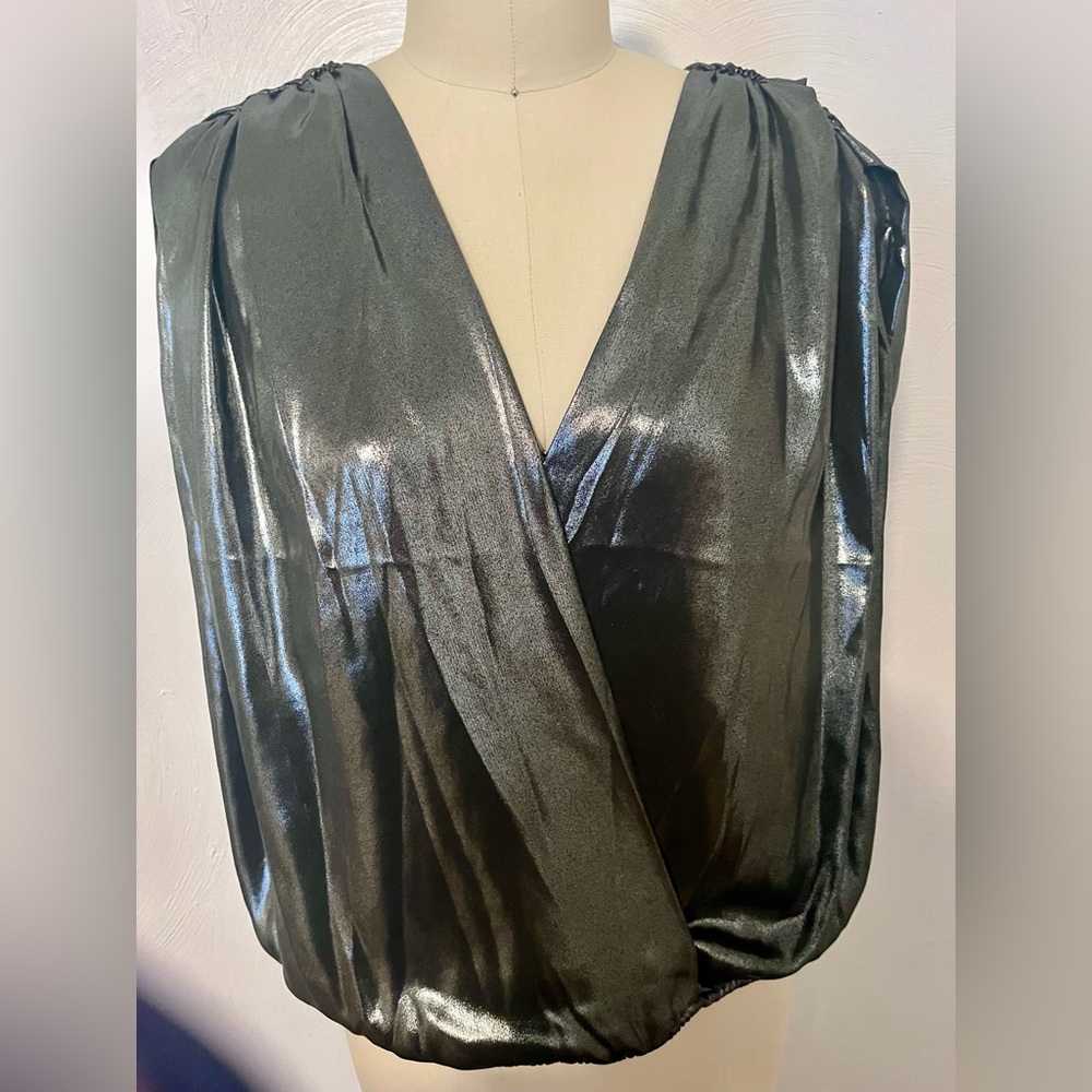 Express Surplice Metallic Blouse
